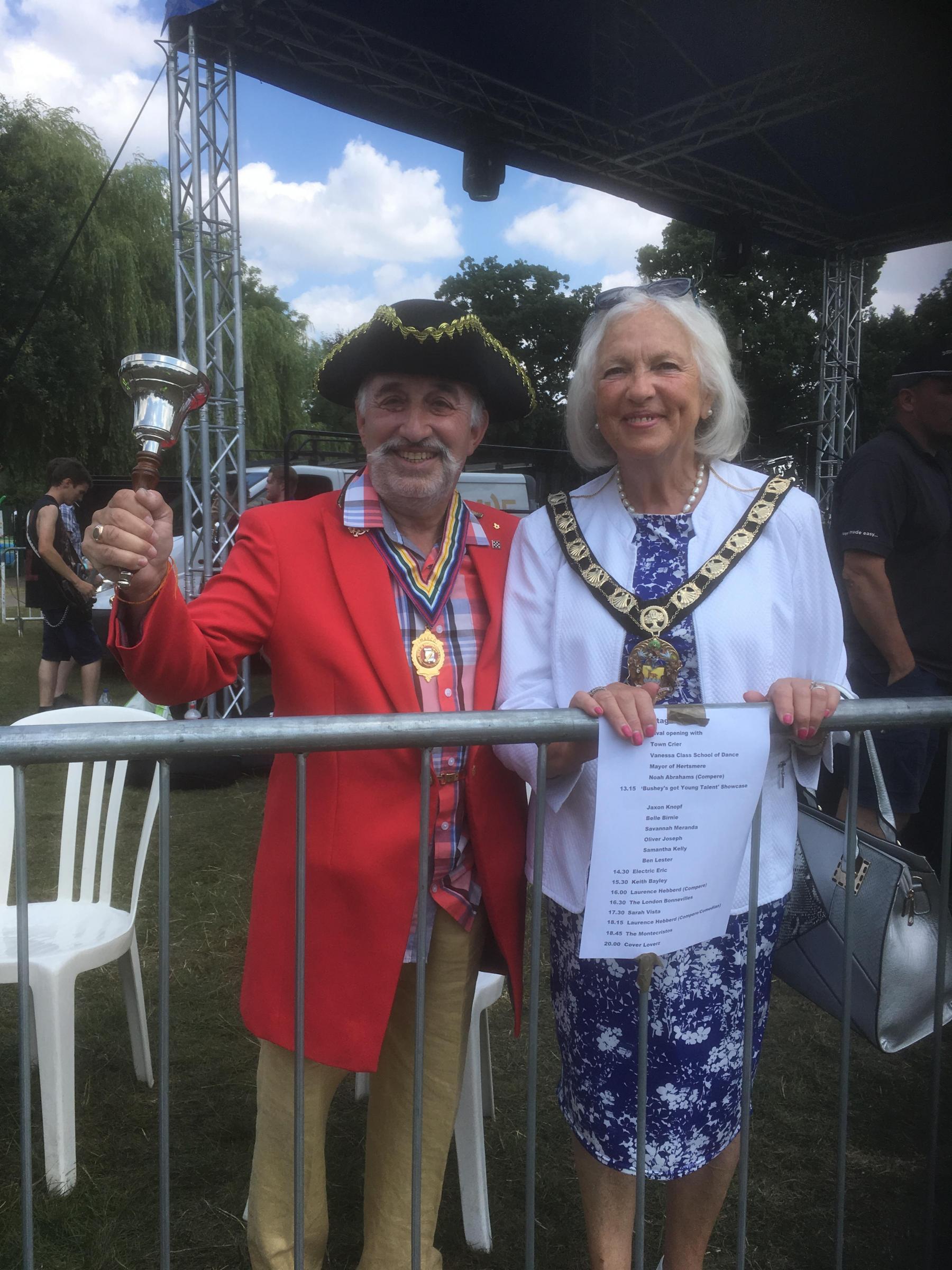 Bushey Festival Party in the Park 